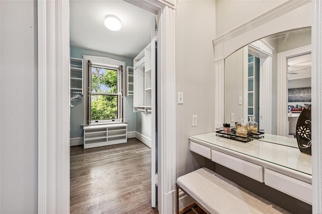 bathroom featuring hardwood / wood-style floors