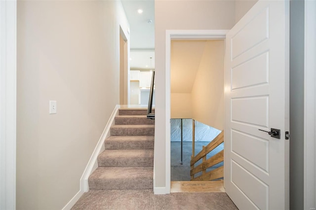 stairs with carpet floors