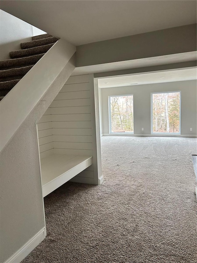 bonus room with carpet