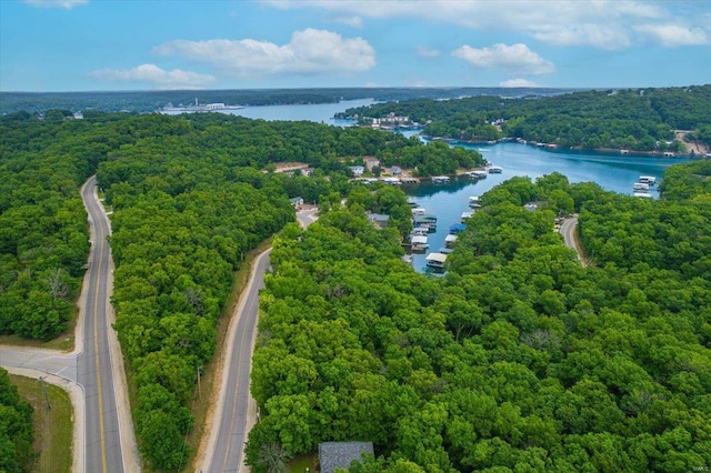 0 Navajo Rd, Lake Ozark MO, 65049 land for sale