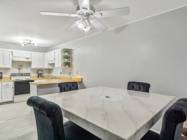 dining room with crown molding, sink, light wood-type flooring, and ceiling fan