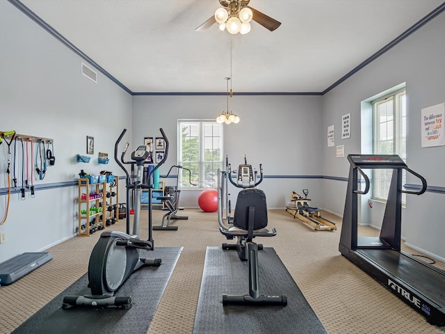 workout area featuring ornamental molding, carpet flooring, and plenty of natural light