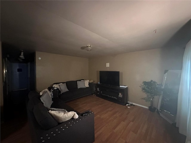 living room featuring hardwood / wood-style floors