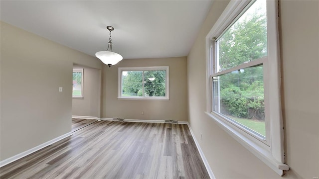 spare room featuring light hardwood / wood-style floors and a wealth of natural light