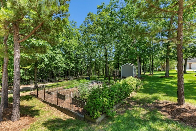 view of yard with a storage shed