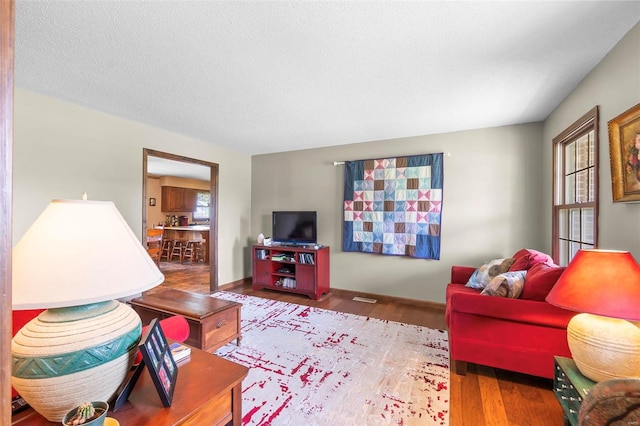 living room featuring hardwood / wood-style flooring and a textured ceiling