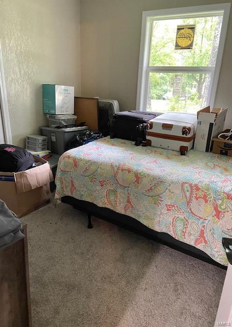 bedroom featuring carpet