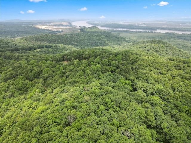 0 Mississippi Queen Ct, Festus MO, 63028 land for sale