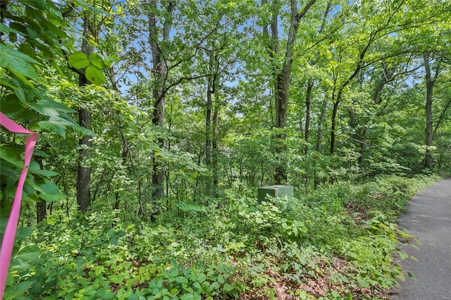 0 Clermont Dr, Festus MO, 63028 land for sale