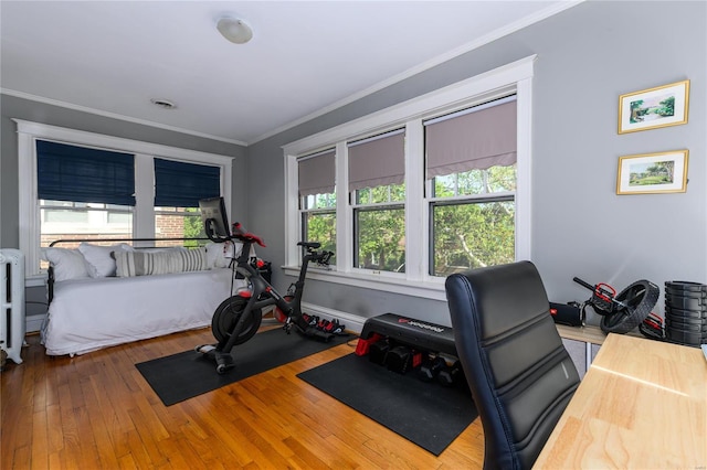 exercise room featuring wood-type flooring, crown molding, and a wealth of natural light