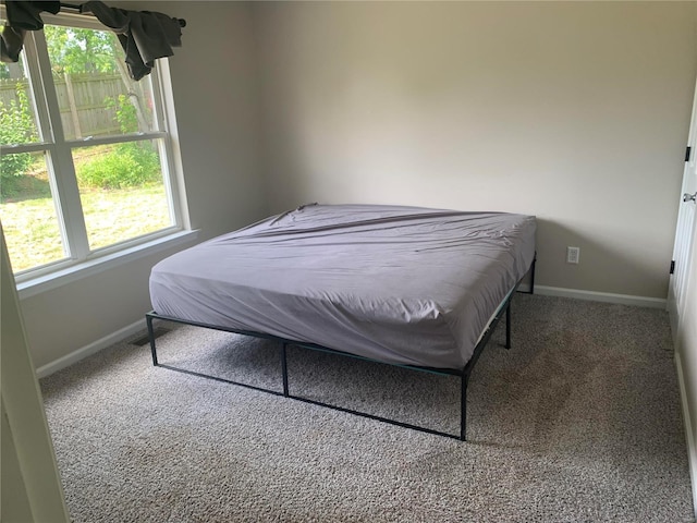 bedroom with carpet floors and multiple windows