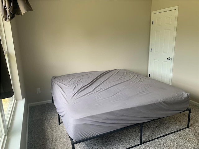 bedroom featuring carpet flooring