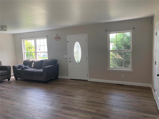 entrance foyer with a wealth of natural light and dark wood-type flooring