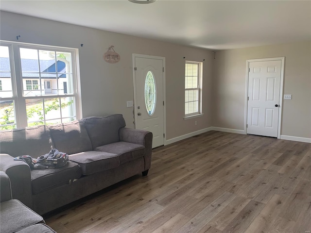 living room featuring hardwood / wood-style floors