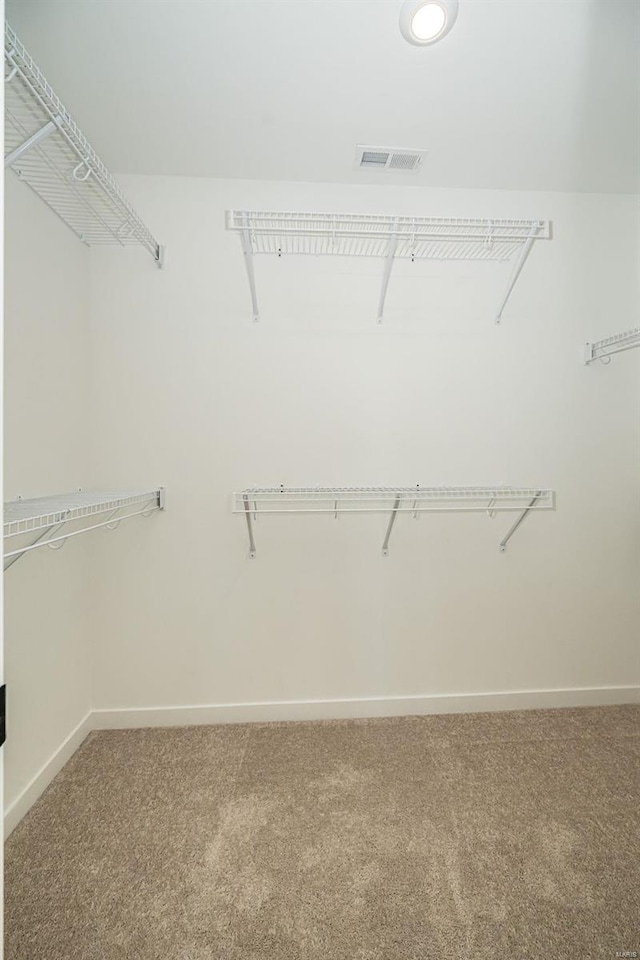 spacious closet featuring carpet