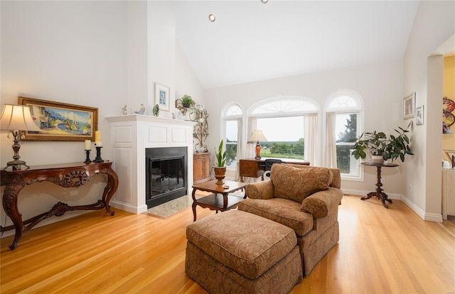 sitting room featuring high vaulted ceiling and light hardwood / wood-style floors