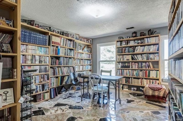 home office with a textured ceiling