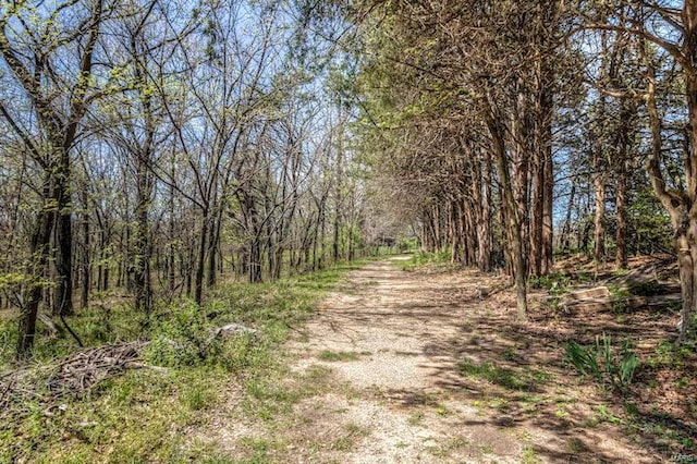 view of local wilderness