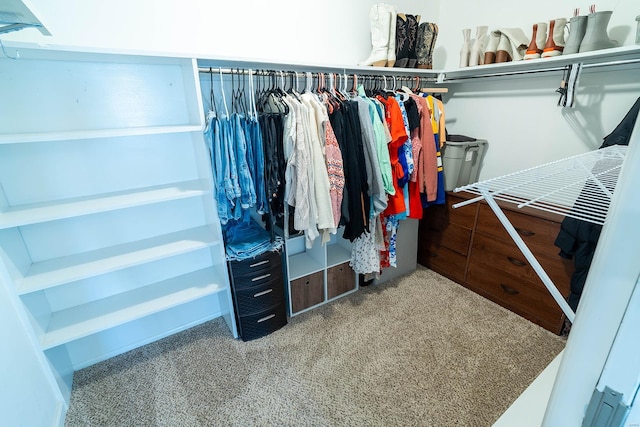 walk in closet featuring carpet floors