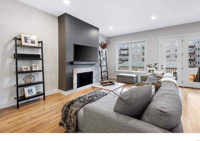 living room with wood-type flooring