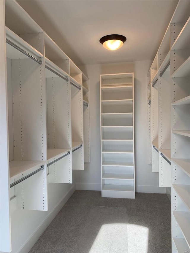 spacious closet with carpet