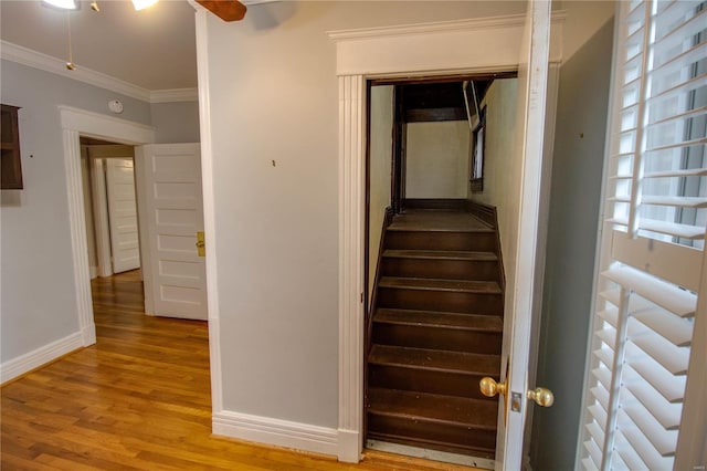 stairway with hardwood / wood-style flooring, ornamental molding, and ceiling fan