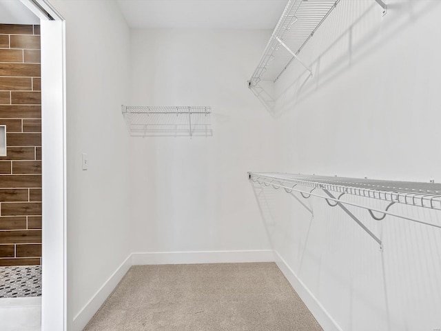 walk in closet featuring light carpet