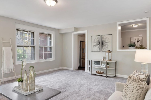 living room with ornamental molding and carpet