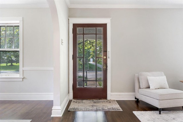 entrance foyer featuring dark wood-type flooring, ornamental molding, and plenty of natural light