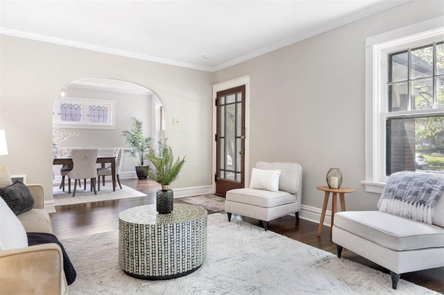 living room featuring dark hardwood / wood-style floors and ornamental molding