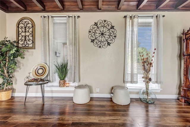 sitting room featuring beam ceiling, dark hardwood / wood-style floors, and wooden ceiling