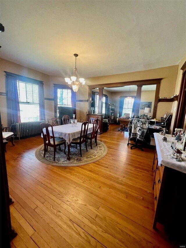 dining space with an inviting chandelier, radiator heating unit, and wood-type flooring