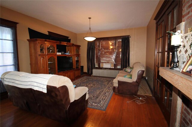 living room with dark hardwood / wood-style floors and radiator heating unit