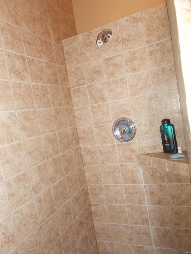 interior details featuring tiled shower