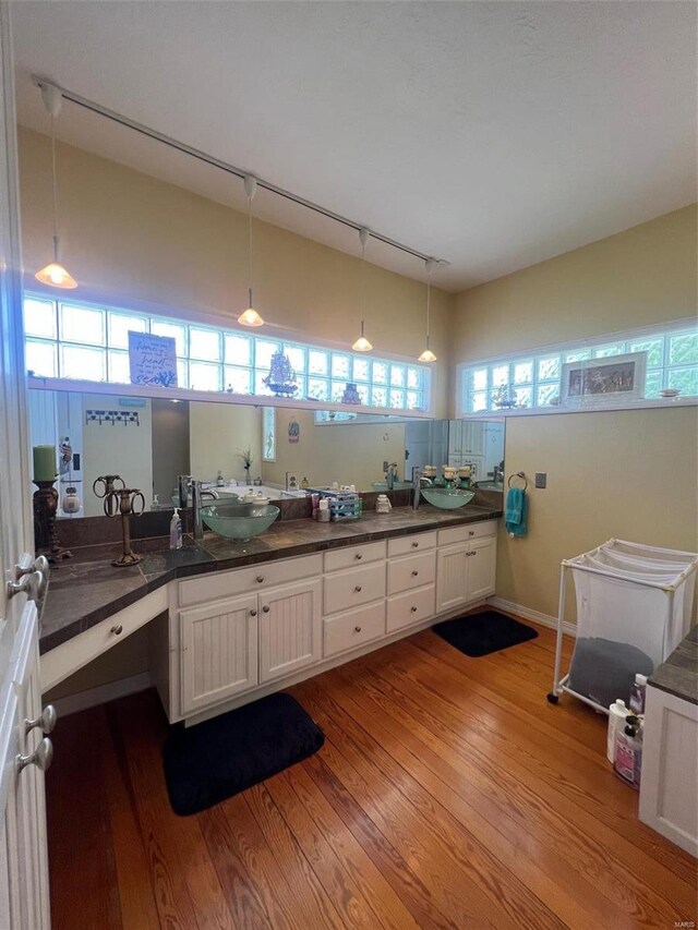 bathroom featuring hardwood / wood-style flooring, track lighting, and plenty of natural light