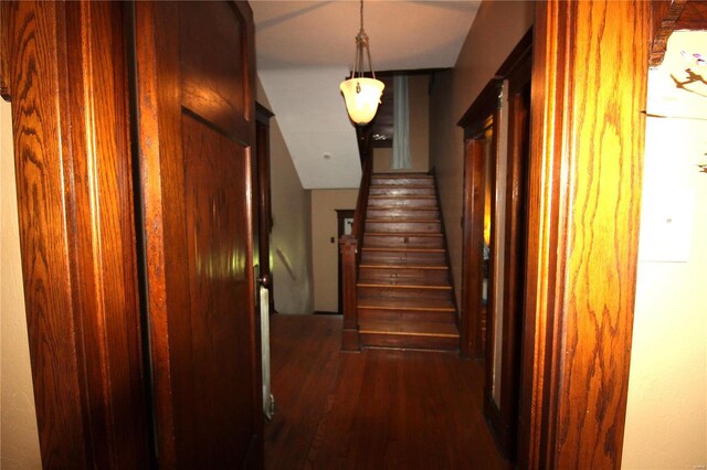 corridor with dark wood-type flooring