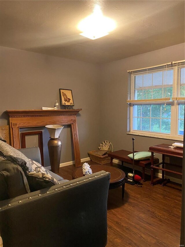 living room featuring dark wood-type flooring