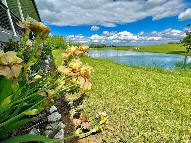 view of water feature