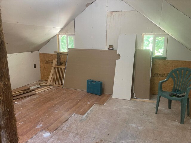 additional living space featuring wood-type flooring, lofted ceiling, and plenty of natural light