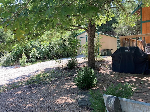 view of yard featuring a storage unit