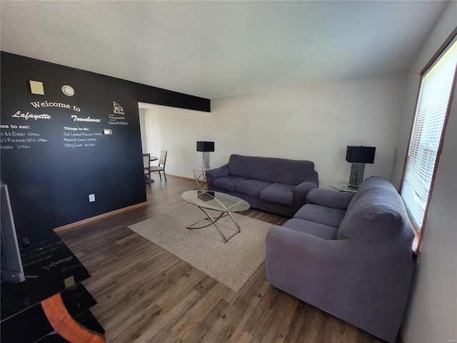 living room with hardwood / wood-style flooring