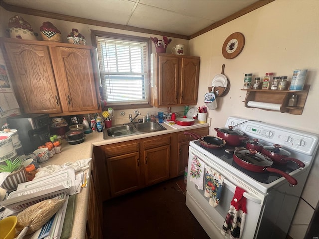 kitchen with sink, ornamental molding, and white electric stove