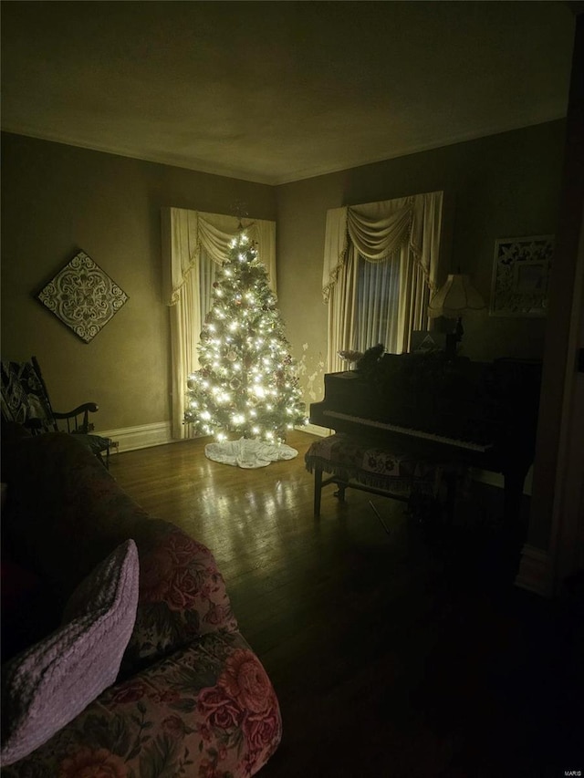 bedroom with hardwood / wood-style flooring