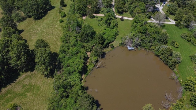 view of bird's eye view