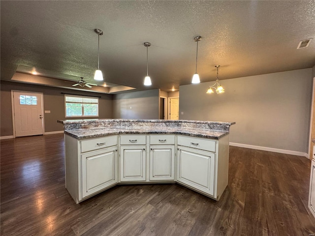 kitchen featuring a raised ceiling, pendant lighting, a center island, and dark wood-type flooring