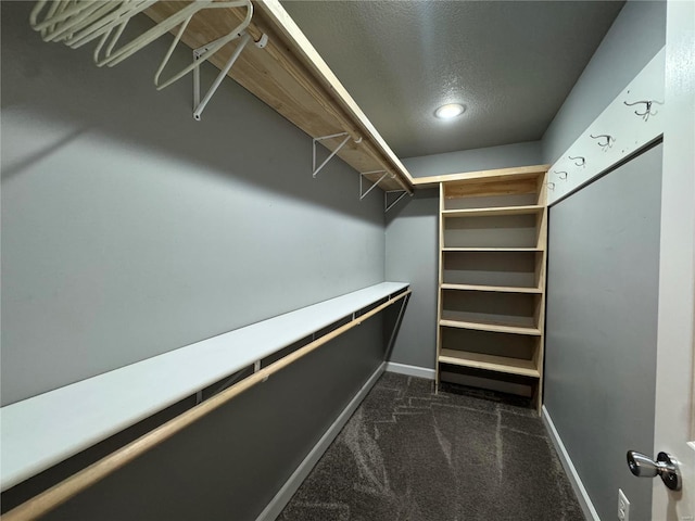 walk in closet with dark colored carpet