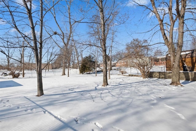 view of yard layered in snow