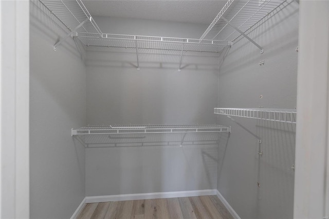 walk in closet with hardwood / wood-style floors