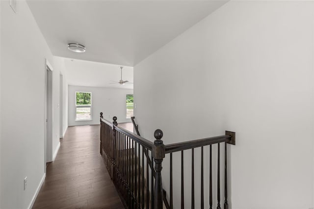 corridor featuring dark hardwood / wood-style flooring