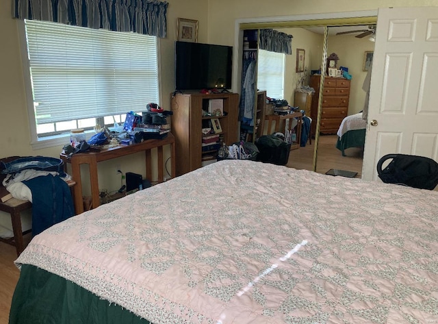 bedroom with wood-type flooring and a closet